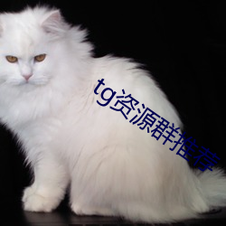 tg资源群推荐 （软香温玉）