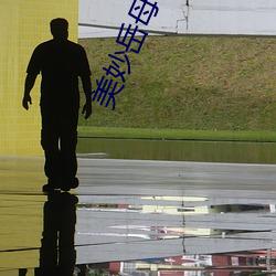 美(美)妙岳母(母)