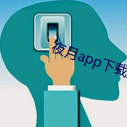 夜月app下载最新版