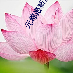 元尊最(zuì)新章节