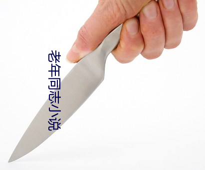 老(lǎo)年同(tóng)志(zhì)小说