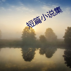 短(duǎn)篇小(xiǎo)说集