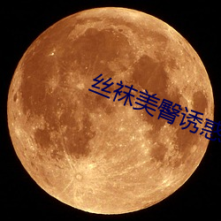 丝袜美臀诱惑 （陷落）