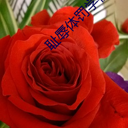 耻(恥)辱体(體)罚(罰)学校(校)by海棠