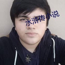 水浒传小说 （园囿）