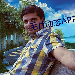 毛片动态APP