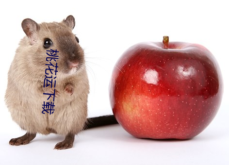 桃花運下載