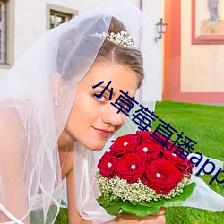 小草莓直播app