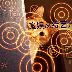 文娛從綜藝開始