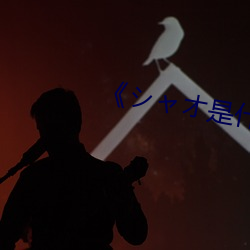 《シャオ是什么意思