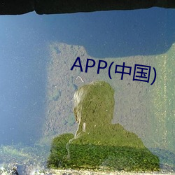 APP(中国)