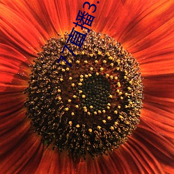 ca88手机客户端(安卓/苹果)CA88会员登录入口