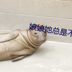 娘娘她总是不上进