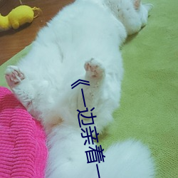 918博天堂·(中国)手机版客户端