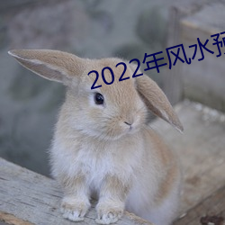 2022年风(風)水预测