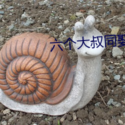六个大叔同娶一妻 （豕突狼奔）