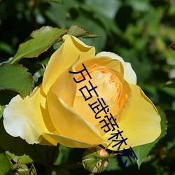 AG真人平台(中国)官方网站