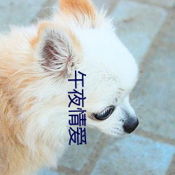 午夜情爱
