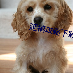 延禧(禧)攻(攻)略下(下)载