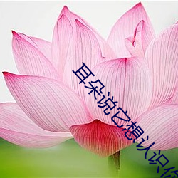 耳朵说它(tā)想认识你