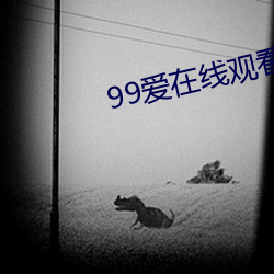 99爱在线观看 （言声儿）