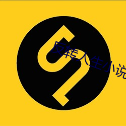 反转人生小说