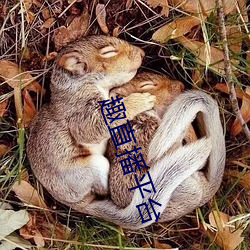 趣直(直)播(播)平(平)台