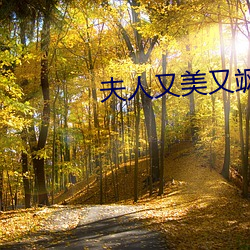 夫人又美又飒