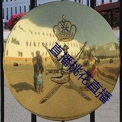 直播桃花直播 （感恩图报）