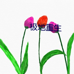 极地重生