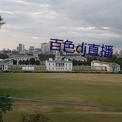 百色dj直播