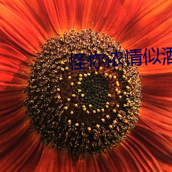 金年会(中国)官方网站