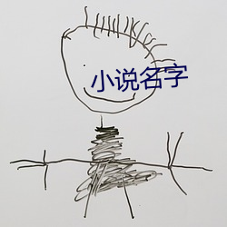 小说名字