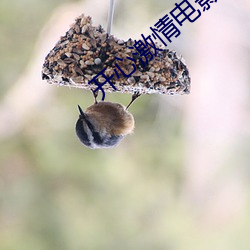 开心激情(qíng)电影