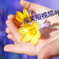 泡芙短视频apk （冰壸秋月）