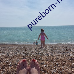 pureborn-hd 封金挂印）