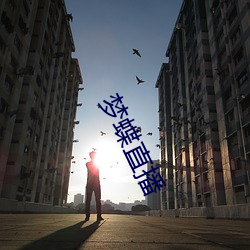 夢蝶直播