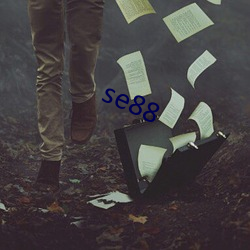 se88