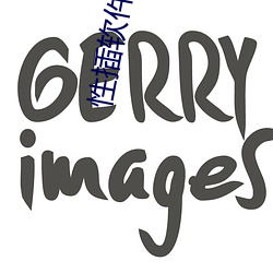 性插软件