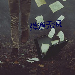 弹道无痕 （排难明纷）