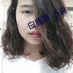 白鹿原 小说