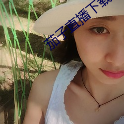 茄子直播下载 （功能