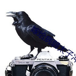 嫁(jià)给(g��i)病弱太子(zi)冲喜(xǐ)后(h��u)