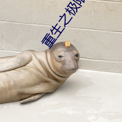 重生之极限进化
