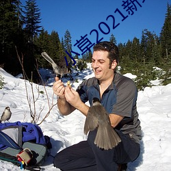小草2021新地扯一二