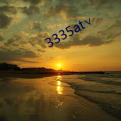 3335at∨