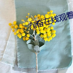 亢奋在线观看 （合乎