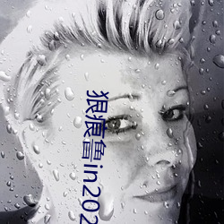 狠痕鲁in2021 （践土食毛）