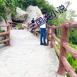 三(三)国类小说
