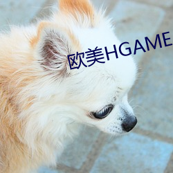 歐美HGAME